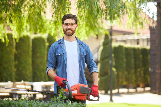 istock Smiling handyman in casual clothes looking at camera, while working in garden. 1934449411