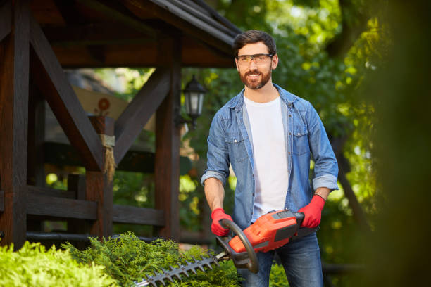 istock Attractive gardener posing, while trimming conifer bush by electric hedge clippers in sunny day. 1934453705