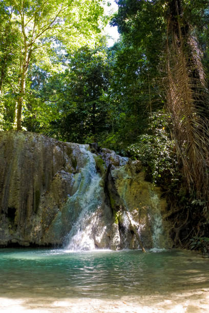 istock Jungle waterfall cascade in tropical rainforest with rock and turquoise blue pond 1934469152