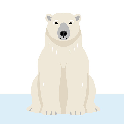White sitting Polar bear icon. Wild polar Bear animal of the Arctic and the Arctic Circle. Vector illustration isolated on white background.