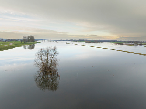 IJssel winter light with high water level on the floodplains near Zwolle after long periods of rain upstream. The overflown trees are reflected in the calm water of the river.