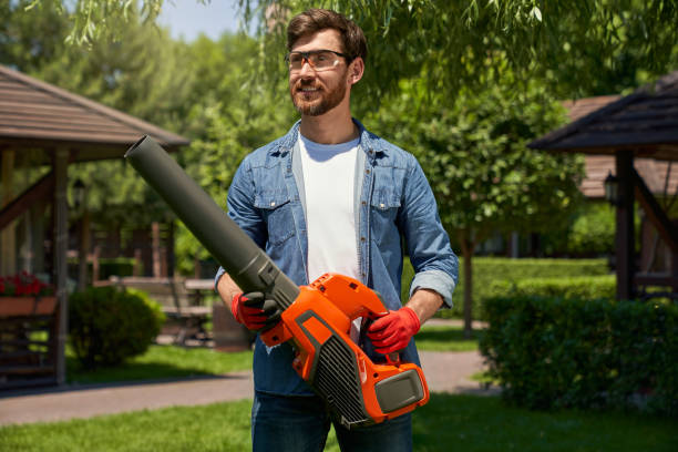 istock Handsome male worker in casual apparel using modern cordless leaf blower on backyard. 1934499182