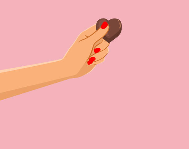 Female Hand Holding Chocolate Vector Drawing vector art illustration