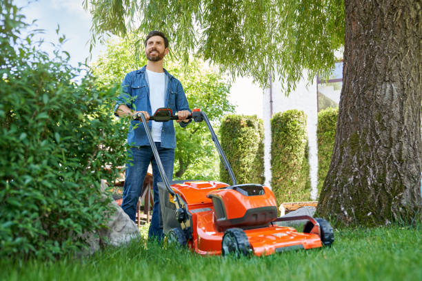 istock Handsome bearded man trimming lawn with electric mower, working on backyard at sunny day. 1934524802