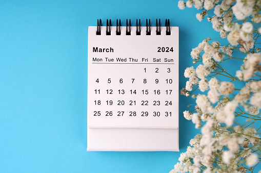 March 2024 Calendar flat lay