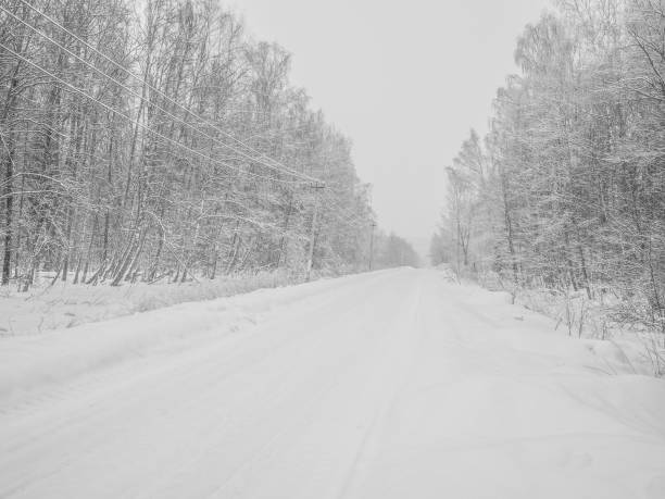 istock Winter road through a snowy forest. 1934535887