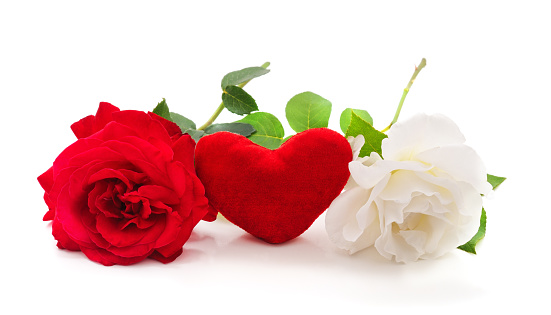 Bouquet of red roses and hearts on white background. Valentine's day concept. Place for your text.