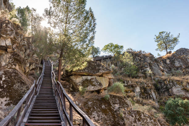 istock Long wooden staircase in the mountains at sunset 1934591561