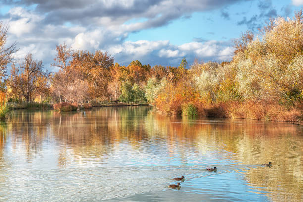 istock Autumn landscape with reservoir and trees reflected in the water 1934596403