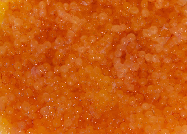 istock Close-up of fresh, uncooked trout roe 1934619104