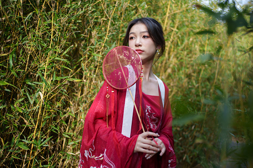 A woman in Hanfu in the bamboo forest