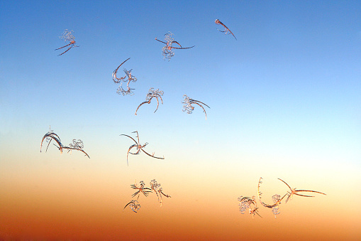 A closeup shot of ice crystals on an airplane window