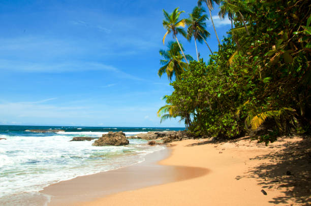 istock Beaches of Costa Rica 1934651064