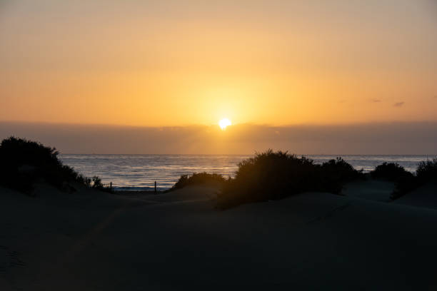 Sand dunes and sea in Maspalomas at sunset on Gran Canaria in Spain. The huge sand dunes resemble a small desert and are a nature reserve.