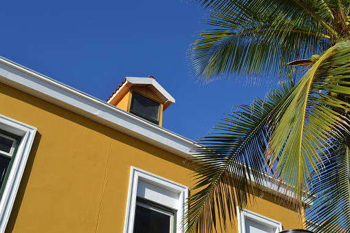 a yellow house and a palm tree