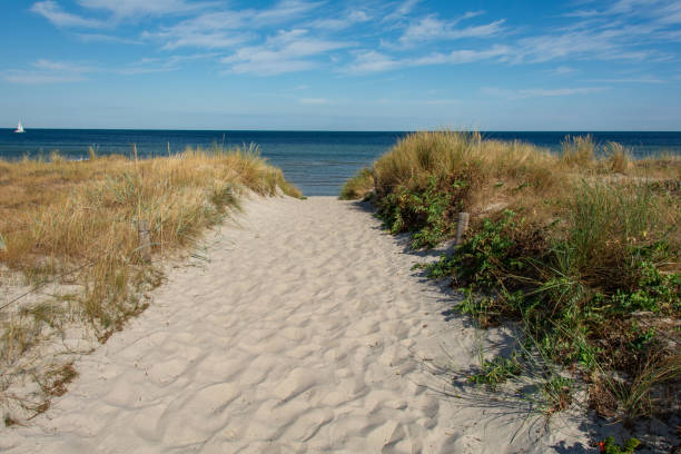 istock Path between the sand dunes overlooking the sea 1934665149