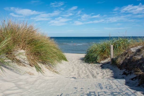 istock Path between the sand dunes overlooking the sea 1934665694