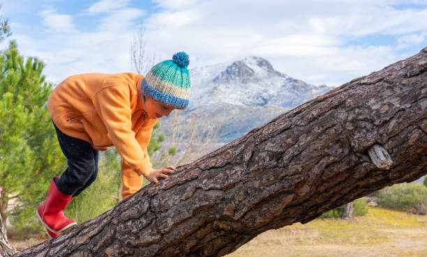 istock Boy climbing a tree trunk with snowy mountains in the background 1934675329