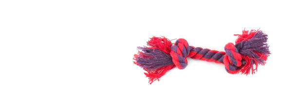 istock Rope (dog toy) isolated on white . There is space for text. Wide photo. 1934691880