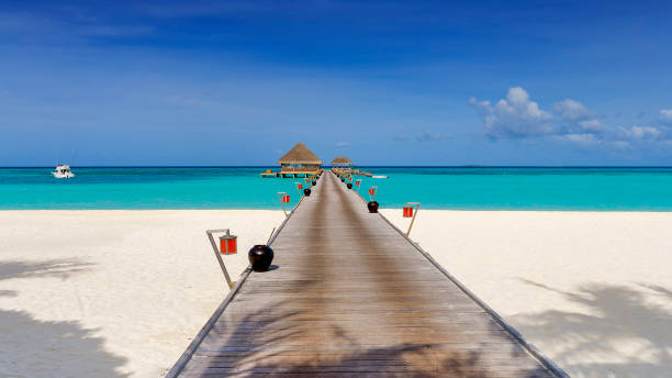 istock Sandy beach with view along wooden jetty over turquoise ocean 1934704046