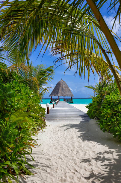 istock Way over sand and jetty to a thatched over water pavillon 1934704566