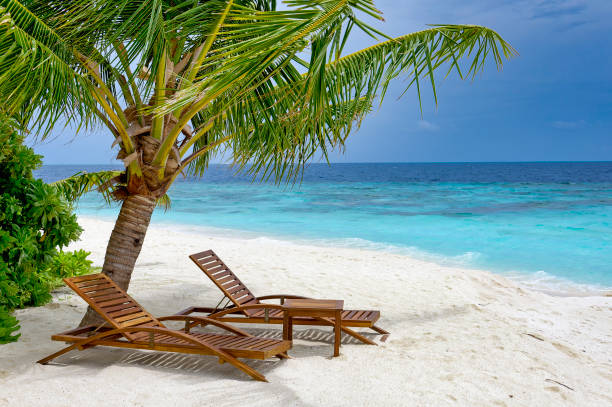 istock Two sun loungers on sandy beach inf front of blue ocean 1934704575