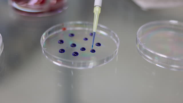 Chemical dropping on a petri dish to analyze a microorganism at a research lab