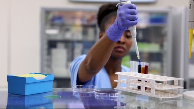 African American pathologist analyzing medical samples on a petri dish at the laboratory