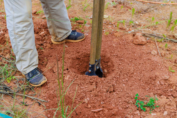 istock In process of digging fence post, man uses a hand post hole digger 1934741075