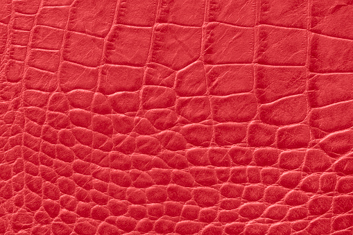 Genuine leather texture background close up, crocodile skin print