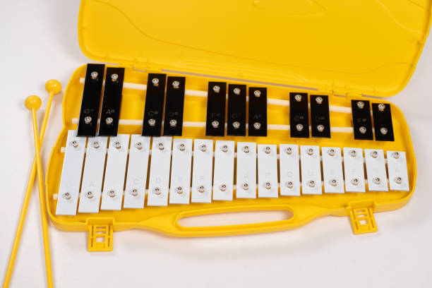 istock Metallophone, metal xylophone, percussion musical instrument on a white background 1934772332