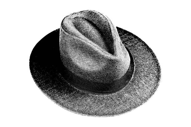 vector natural black felt hat wide-brimmed hat isolated on white background head protection and style template black and white vector image on transparent white background mocup