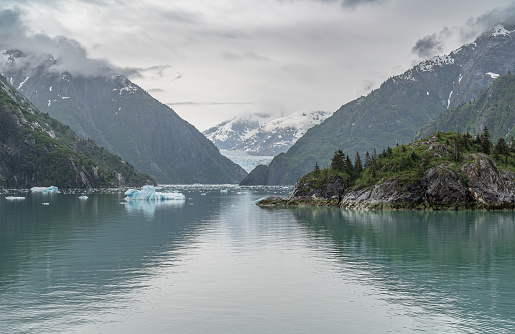 Gowlers (small icebergs) floating in the sea with North Sawyer Glacier in the distance, Tracy Arm Inlet, Alaska, USA