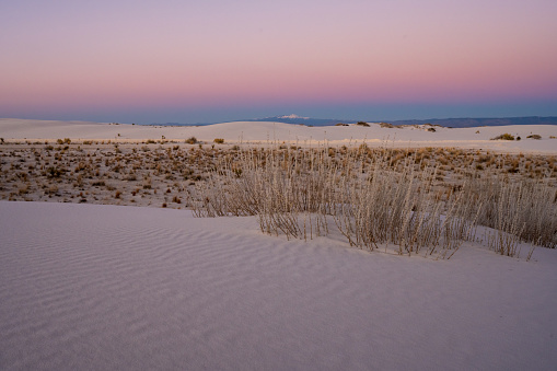 Soft Pink Sunset Over The Vegitation Of White Sands National Park