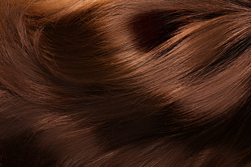 A brown female wig