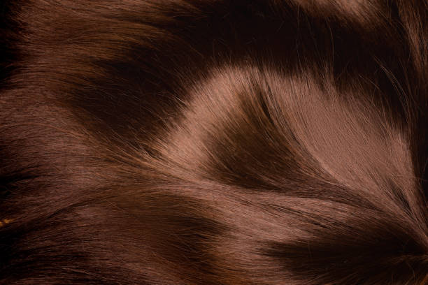 istock A brown female wig 1934843915