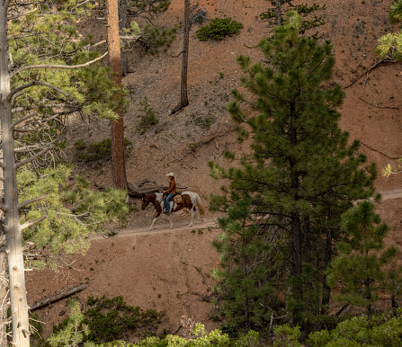 Bryce Canyon National Park, United States: June 21, 2023: Horse And Rider Across Gorge In Bryce Canyon