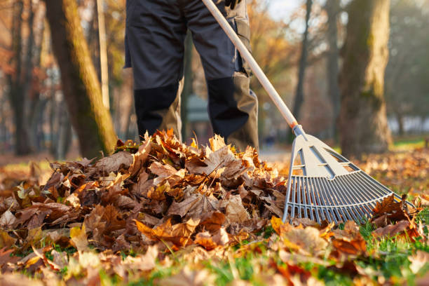 istock Unrecognizable man wearing uniform raking fallen leaves at sunny day. 1934854001