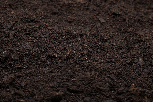 Beautiful background of fertile land close up. The background is entirely made of black soil with a well-defined texture and grains. Black fertile soil loosened before planting close-up..