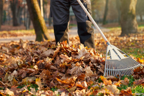 istock Anonymous worker in uniform raking dry leaves on backyard. 1934863512