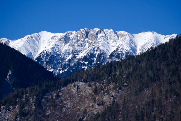 istock Piatra Craiului Mountains, Romania 1934871879