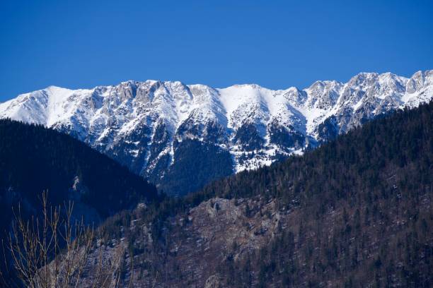 istock Piatra Craiului Mountains, Romania 1934873453