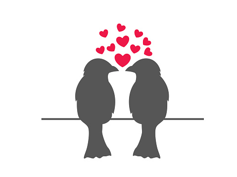 Valentine day, Silhouette cute birds in love, love symbol isolated