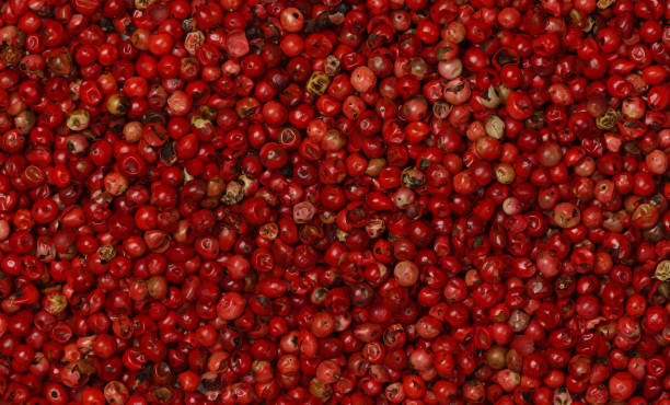 istock Background of pink peppercorns 1934952097