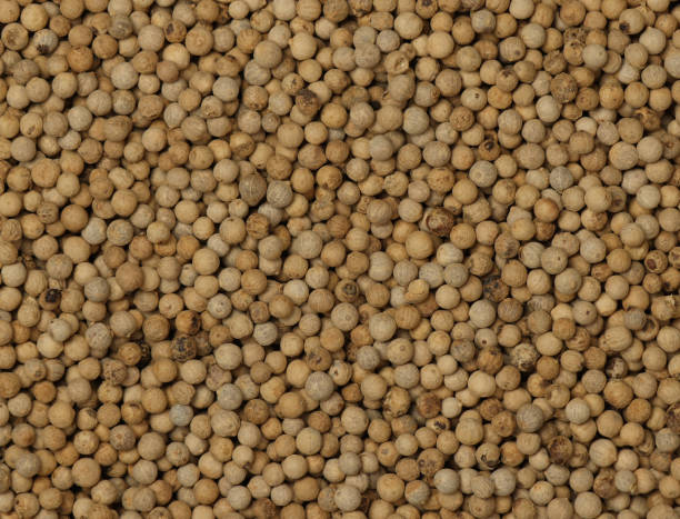istock Background of white peppercorns 1934952663