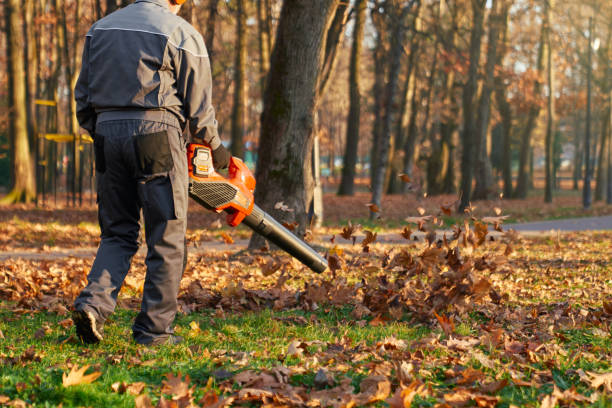 istock Hardworking man wearing overalls working with leaf blower equipment. 1934971912