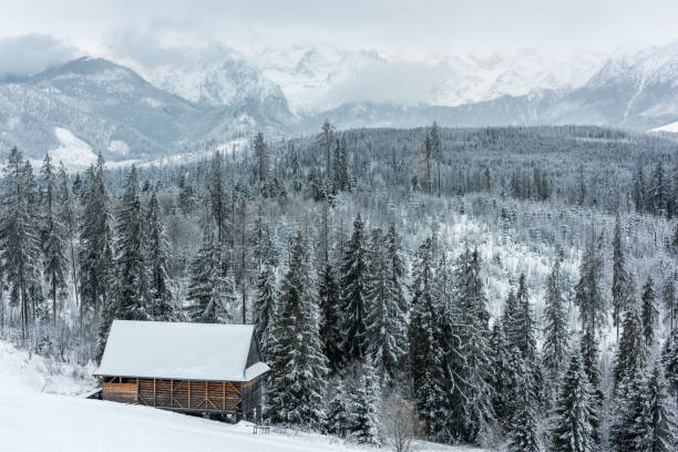 istock High Tatra Mountains in winter snowy scenery 1934990942