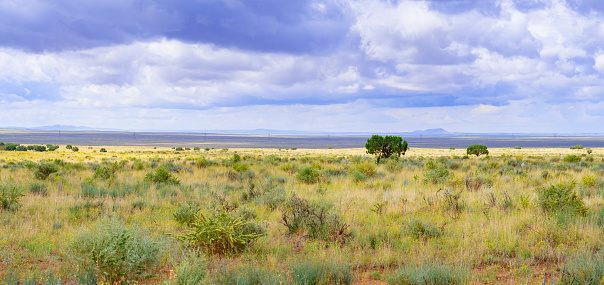 Green grassy prairie and sky with cumulus in Utah, along highway 59 near Kabab