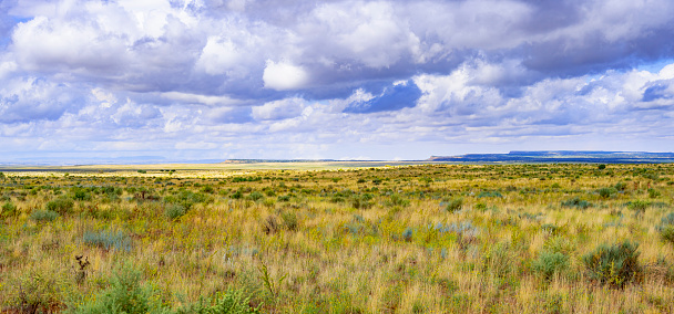 Grasslands in late afternoon sun.