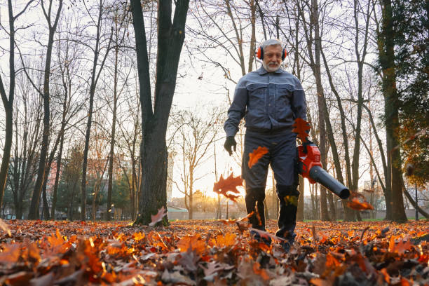 istock Mature service man operating portable leaf blower outdoors. 1935007244